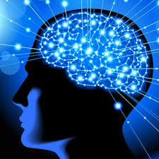 A Creatina: Um Aliado para a Saúde Muscular e Cognitiva